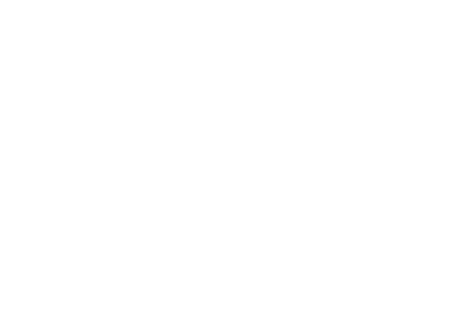 Operatore Economico Autorizzato (AEO)