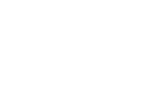 Fedespedi, Federazione Nazionale Imprese di Spedizioni Internazionali